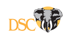 dsc dsc